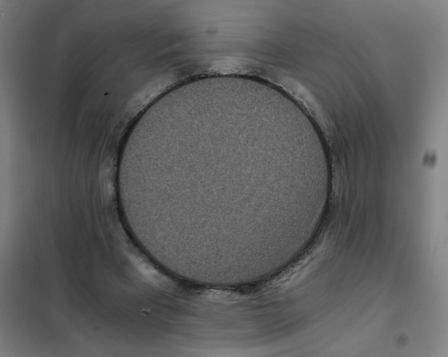 X0000101440393200808041219