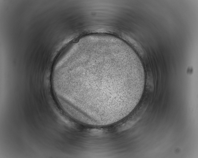 X0000101440394200808041219