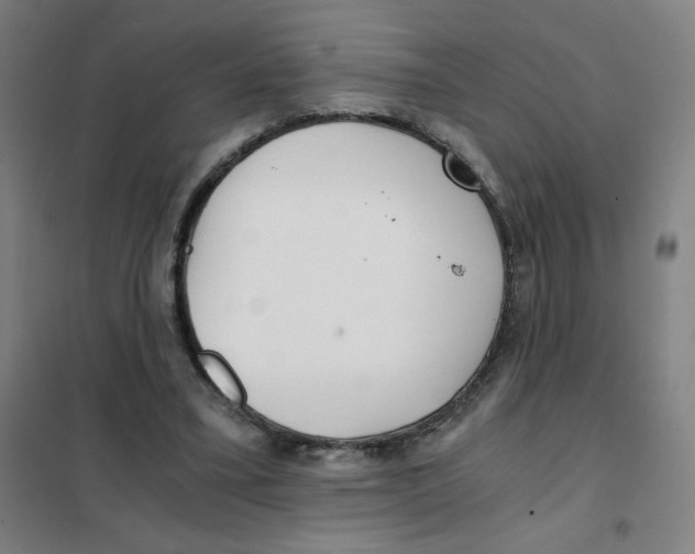 X0000101440395200808041219