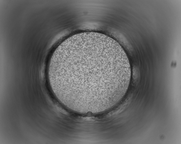 X0000101440396200808041219