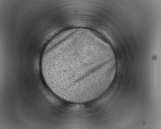 X0000101440398200808041219