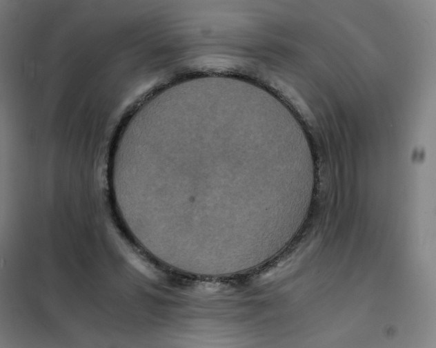 X0000101440399200808041219