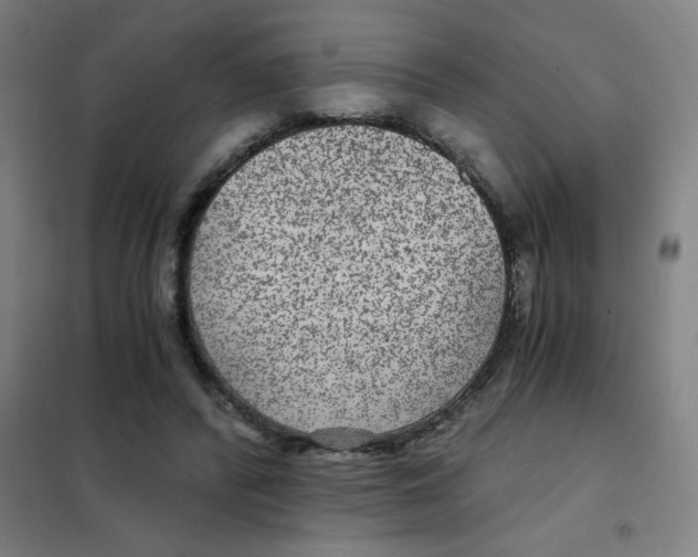 X0000101440400200808041219