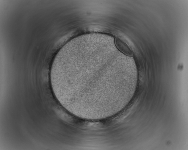 X0000101440401200808041219