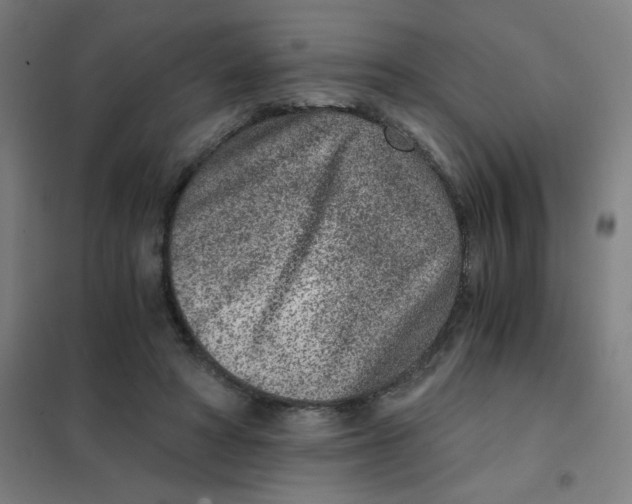 X0000101440402200808041219