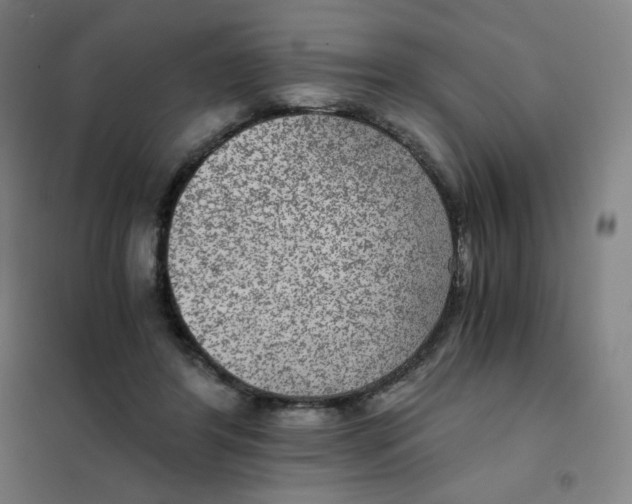 X0000101440404200808041219