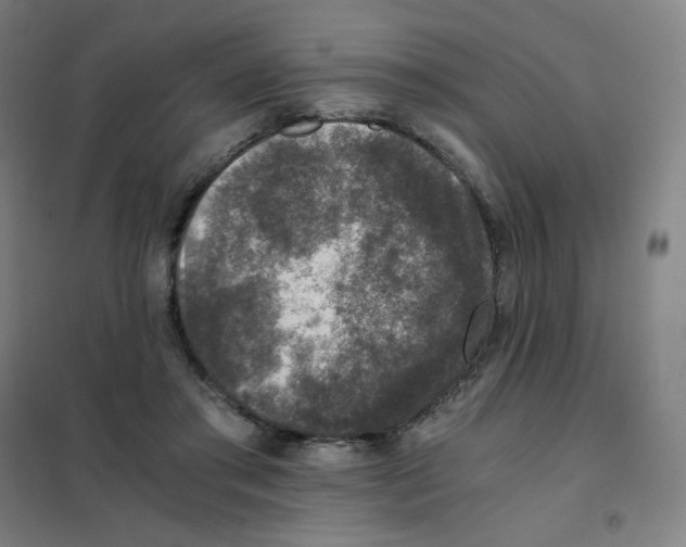 X0000101440405200808041219