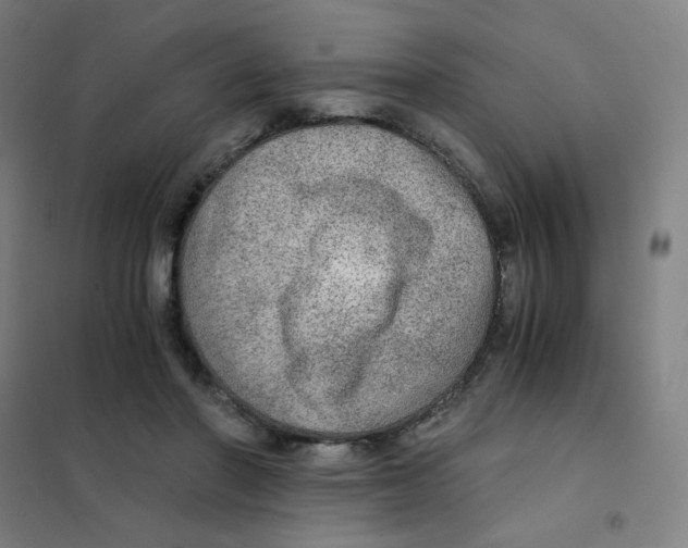 X0000101440406200808041219