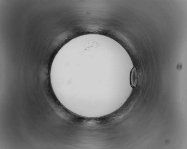 X0000101440407200808041219
