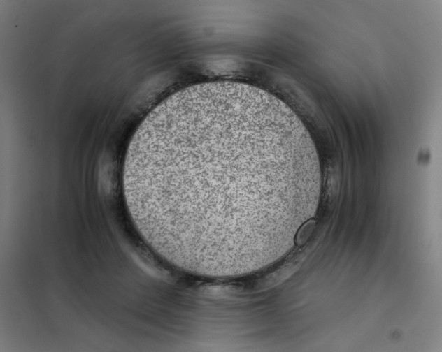 X0000101440408200808041219
