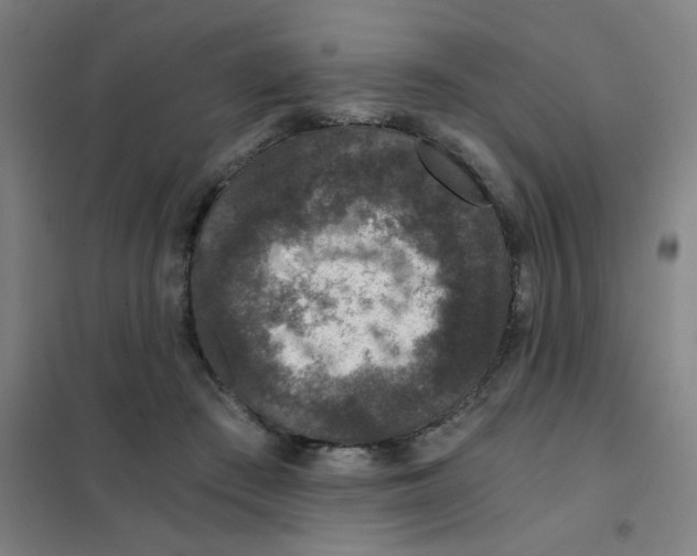 X0000101440409200808041219