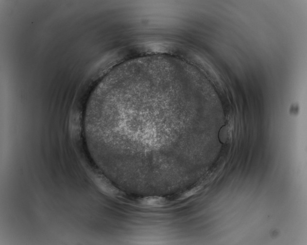 X0000101440410200808041219