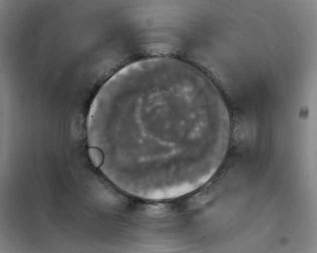 X0000101440411200808041219