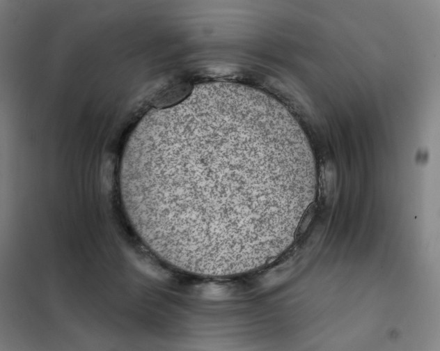 X0000101440412200808041219