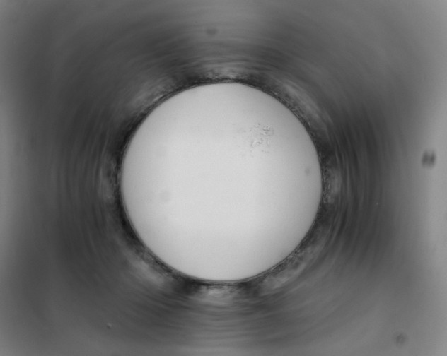 X0000101440414200808041219