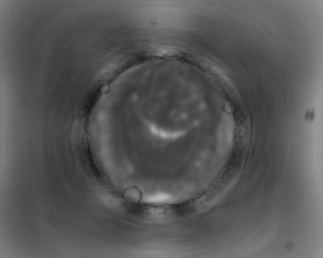 X0000101440415200808041219