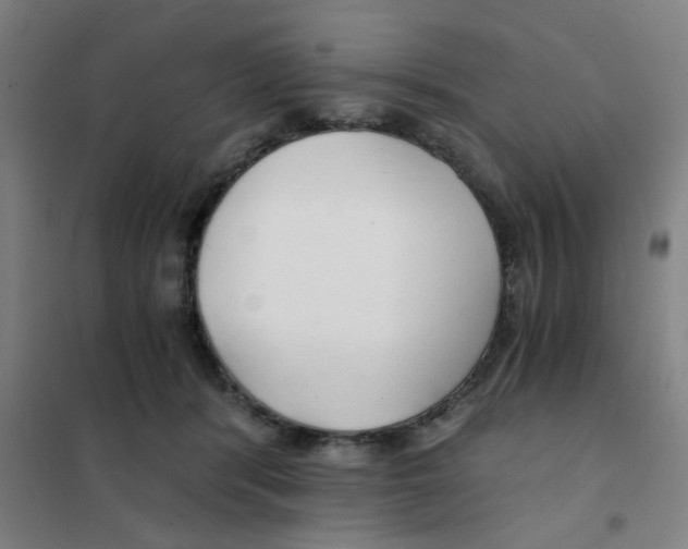 X0000101440416200808041219