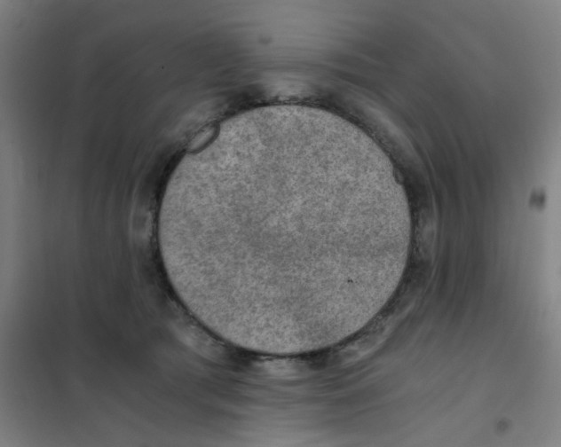 X0000101440417200808041219