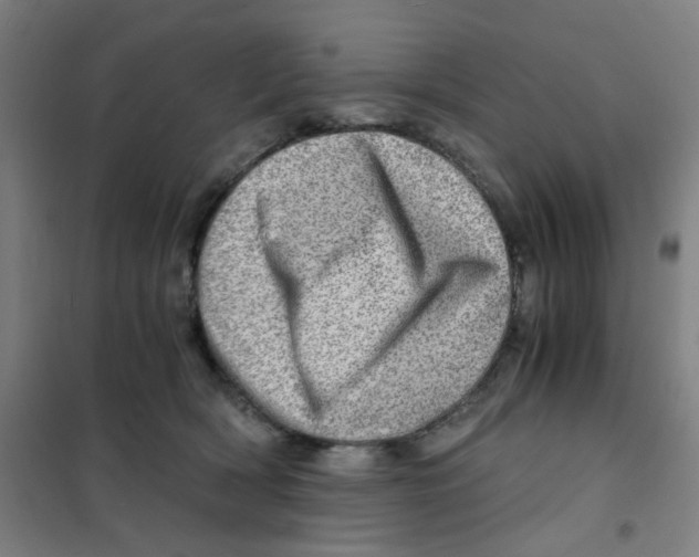 X0000101440418200808041219