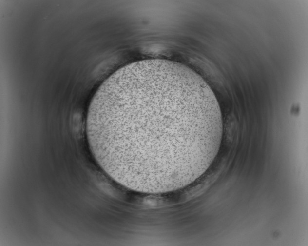 X0000101440420200808041219
