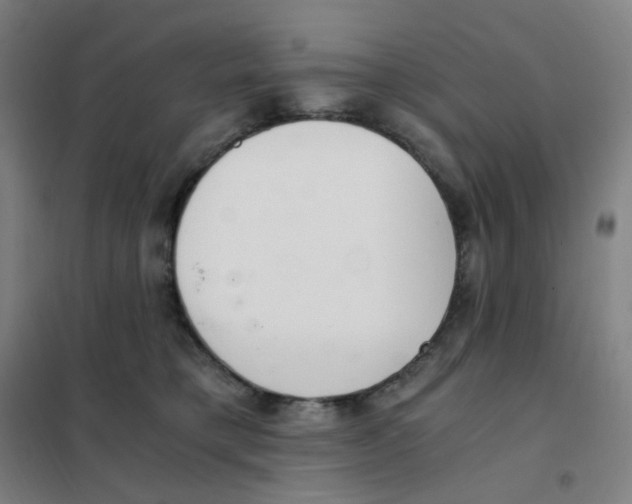 X0000101440421200808041219