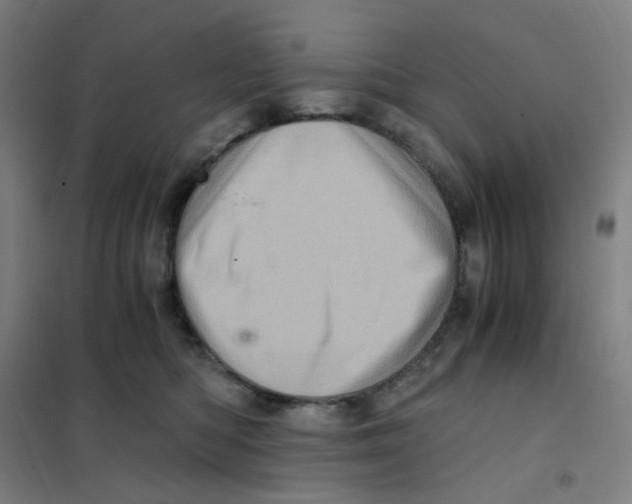 X0000101440422200808041219