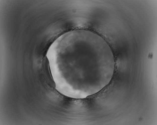 X0000101440423200808041219
