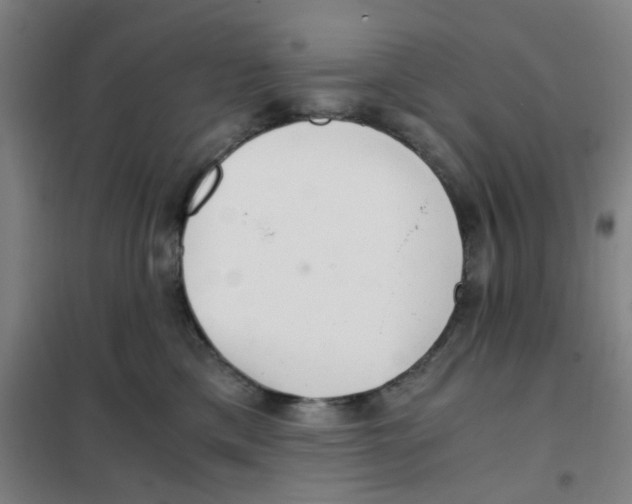 X0000101440425200808041219