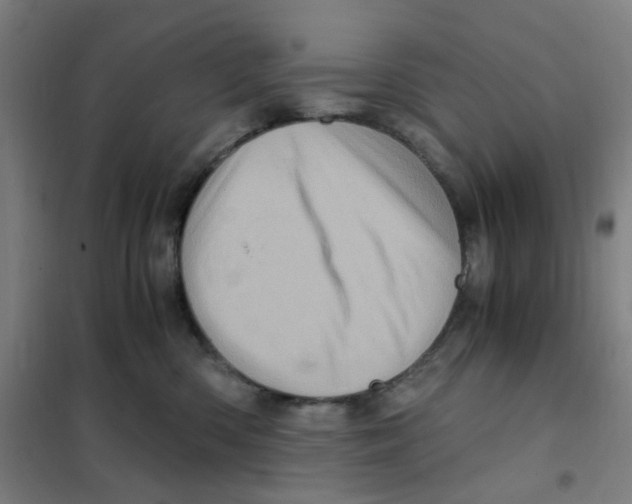 X0000101440426200808041219