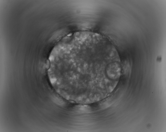 X0000101440427200808041219