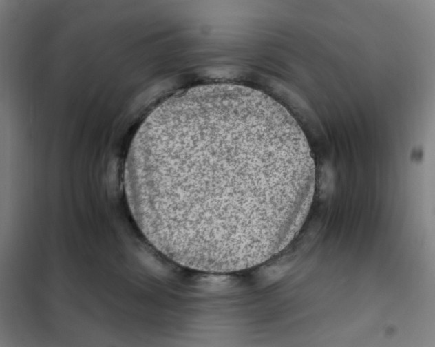 X0000101440428200808041219