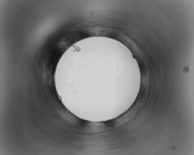 X0000101440429200808041219