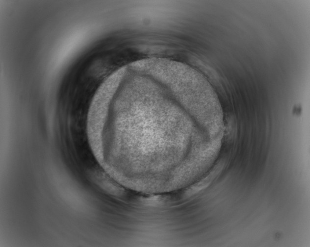 X0000101440430200808041219