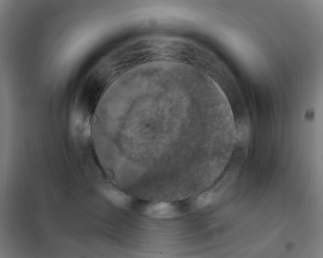 X0000101440431200808041219