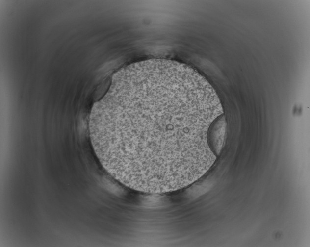 X0000101440432200808041219