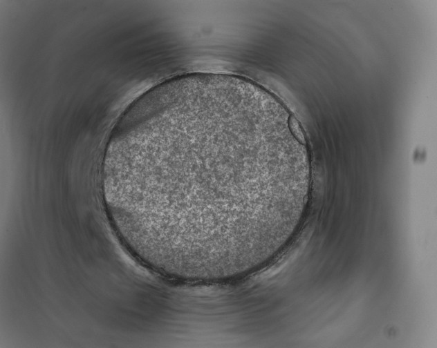 X0000101440433200808041218
