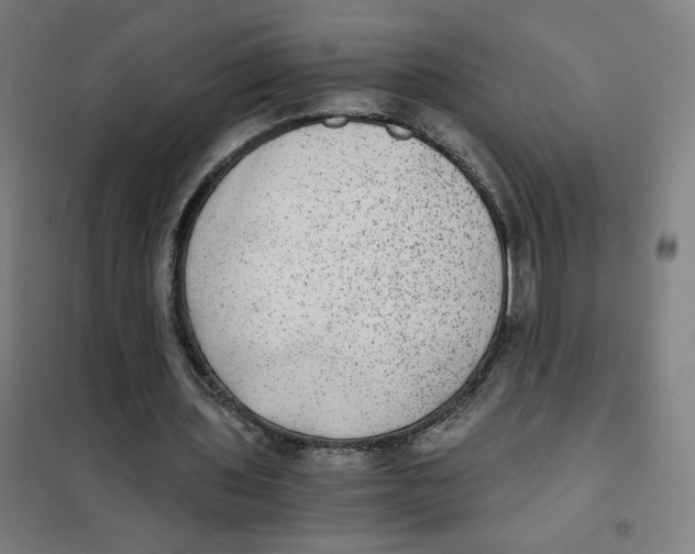X0000101440435200808041218