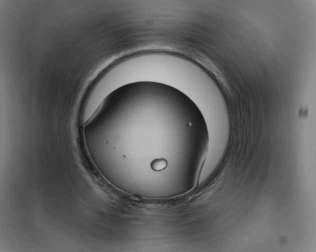 X0000101440436200808041218