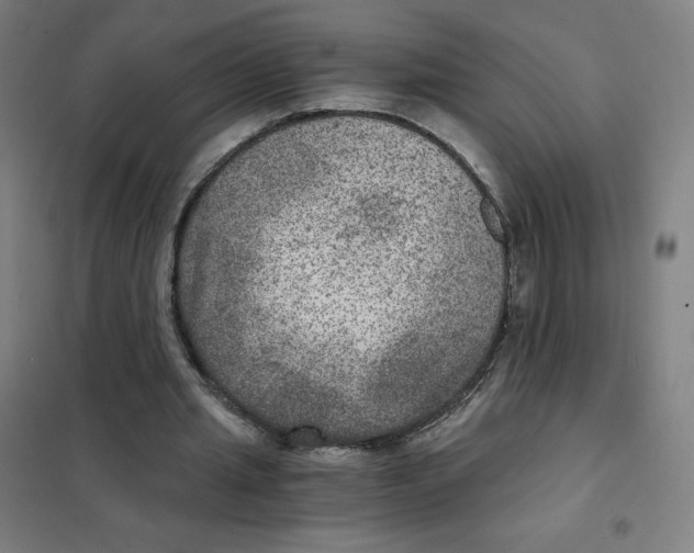 X0000101440437200808041218