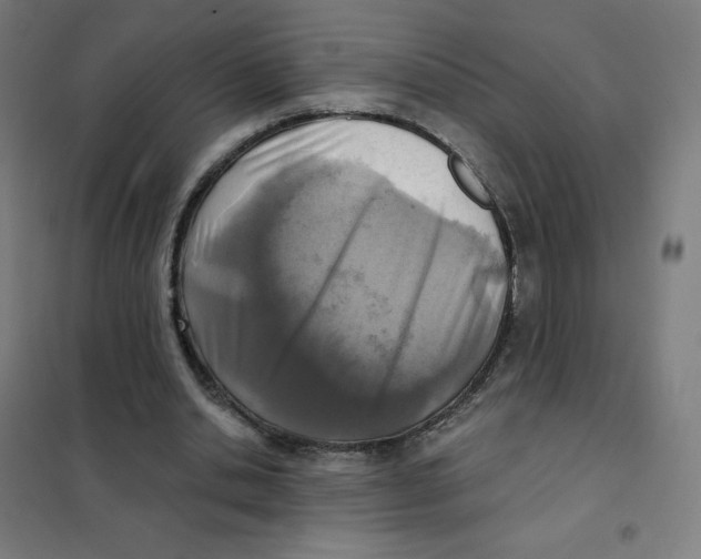 X0000101440438200808041218