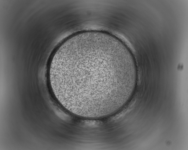 X0000101440439200808041218