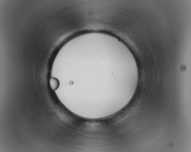 X0000101440440200808041218