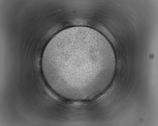 X0000101440441200808041218