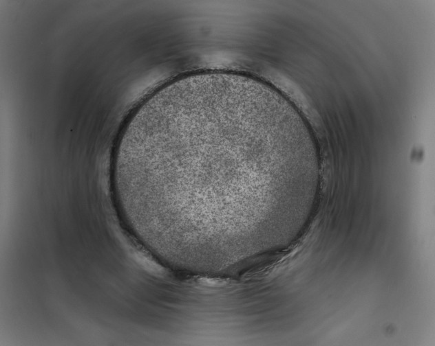 X0000101440442200808041218