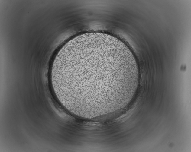 X0000101440443200808041218