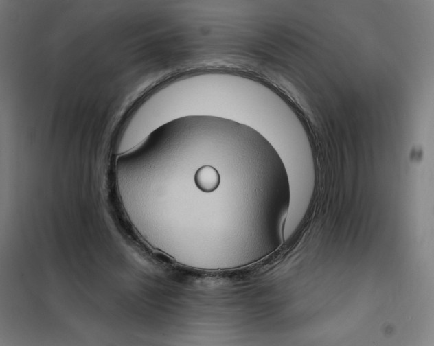 X0000101440444200808041218
