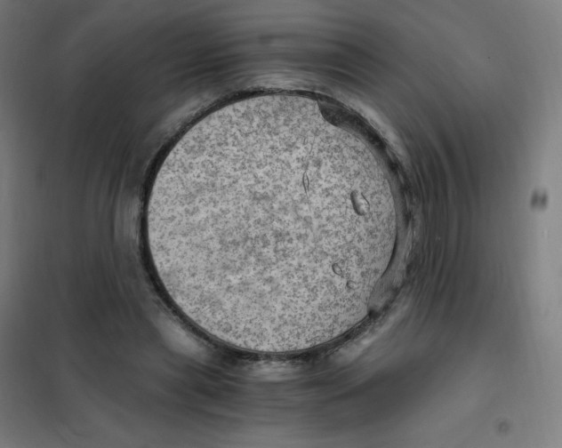 X0000101440445200808041218