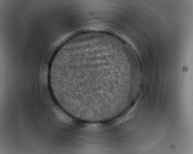 X0000101440446200808041218