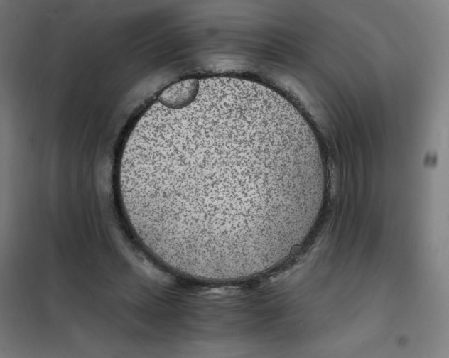 X0000101440447200808041218