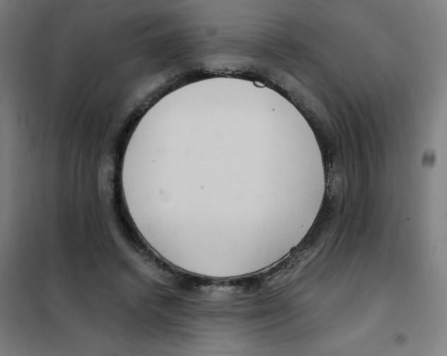 X0000101440448200808041218